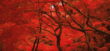 ZS_Ecolution_160x75px_20230221
